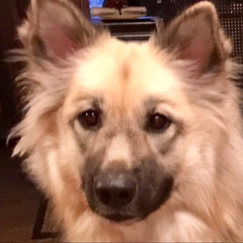 Meet your Posher, Claudine